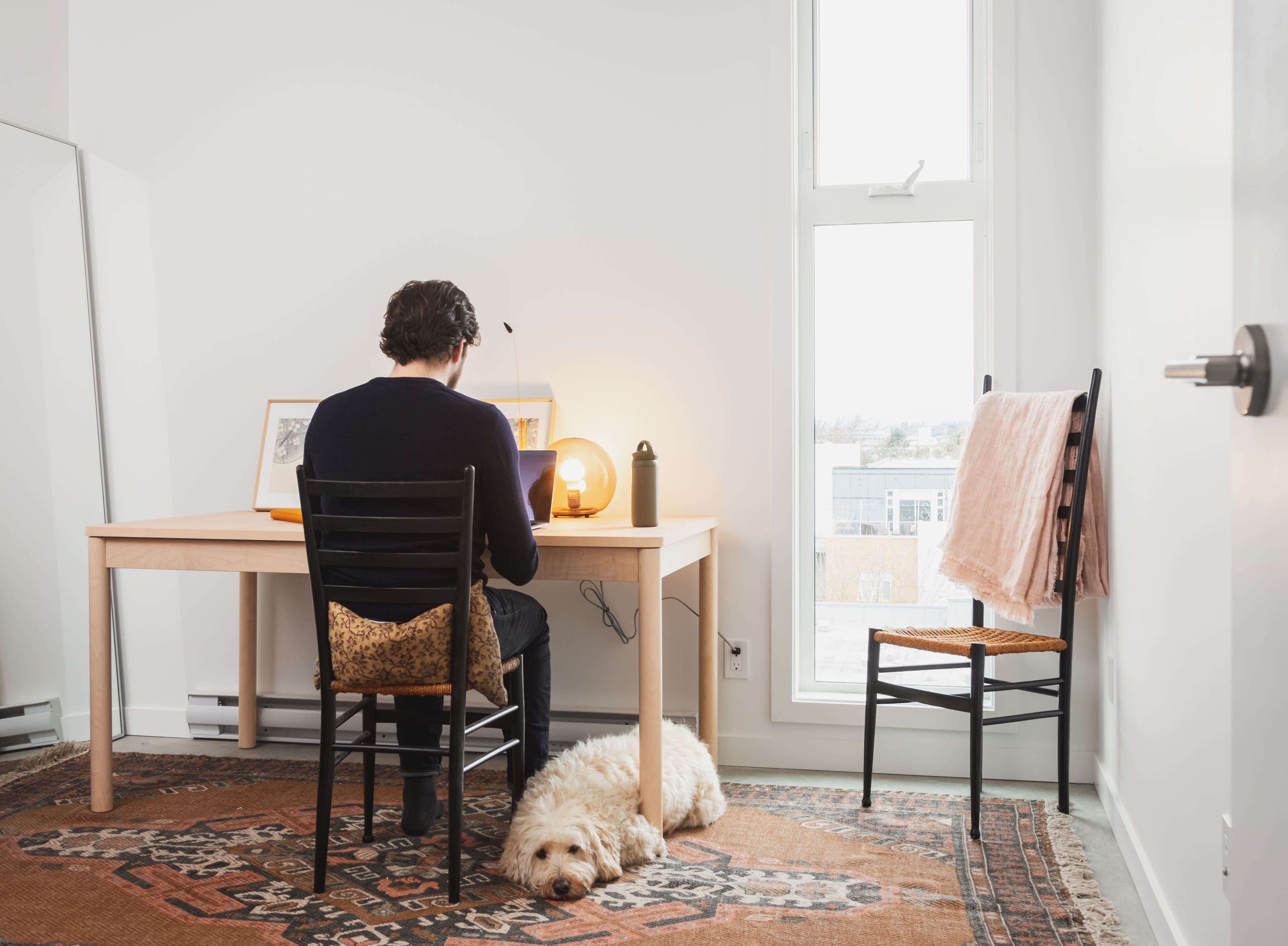man sitting at desk with dog lying on rug at Ross Terrace rental apartment